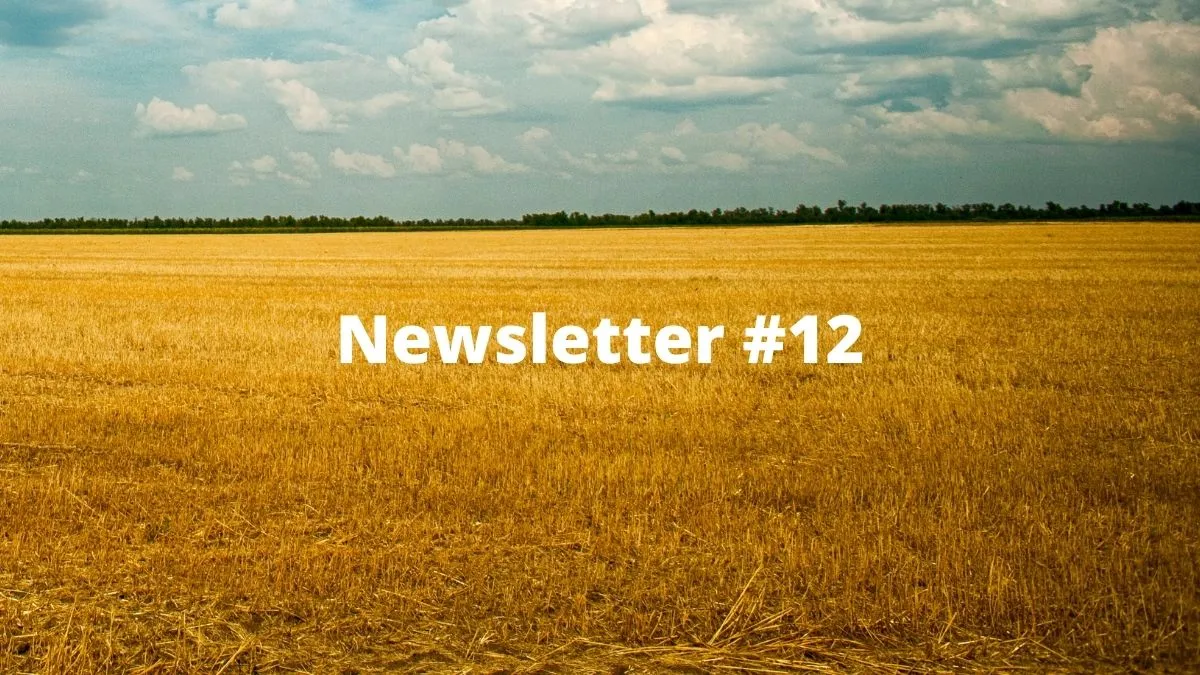 Boxmining newsletter #12