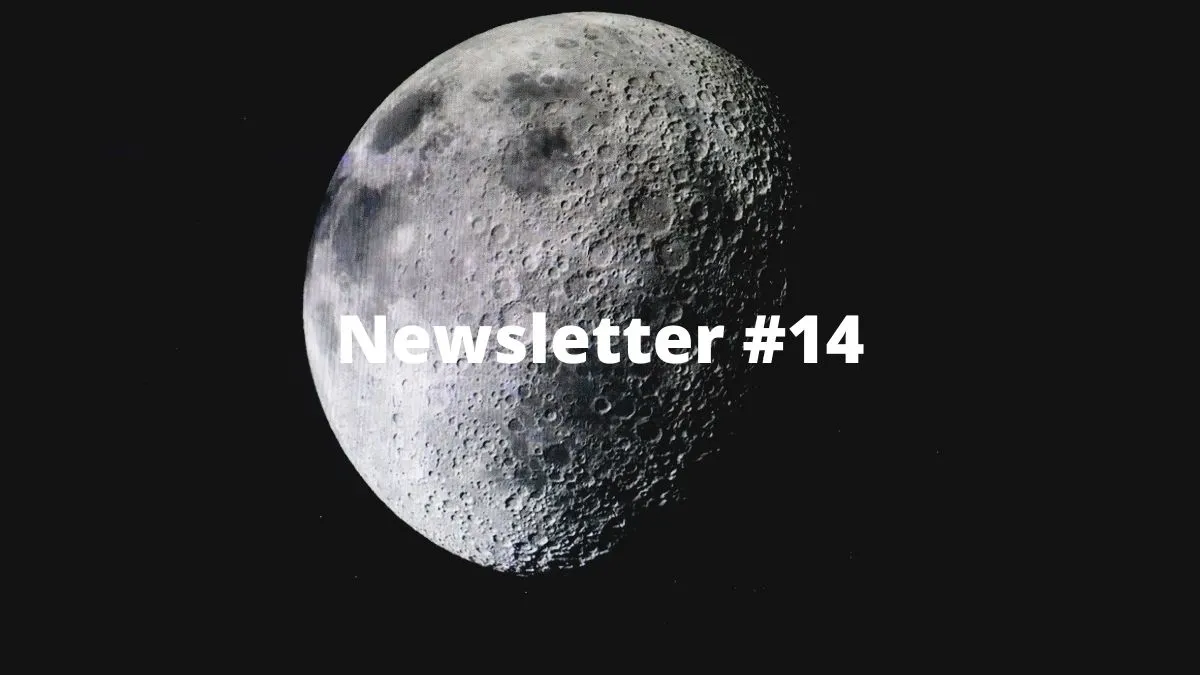 Newsletter #14