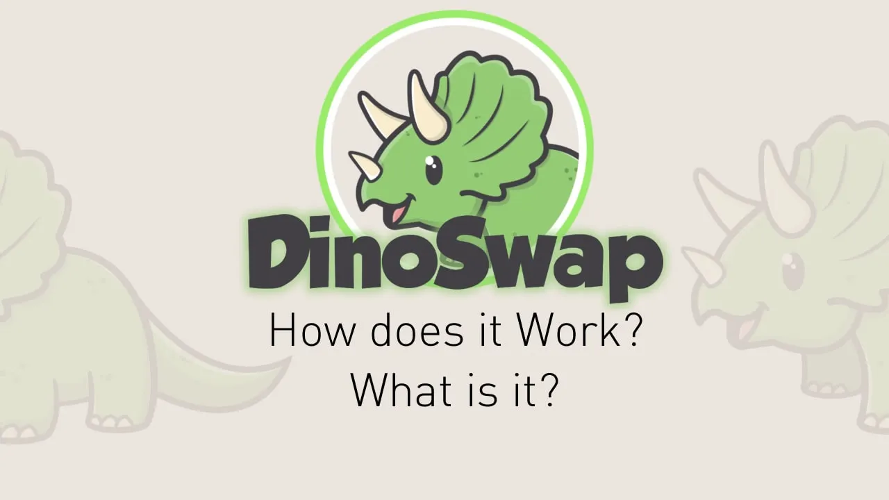 Dina Swap What is it How does it work