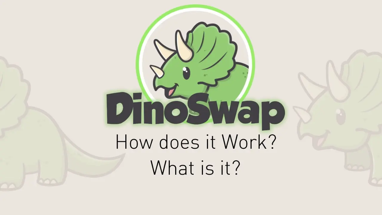 Dina Swap What is it How does it work