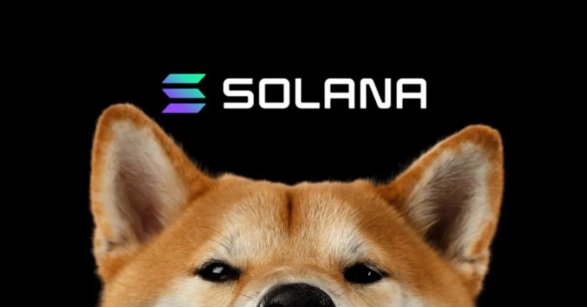 How to snipe Solana ($SOL) memecoins early
