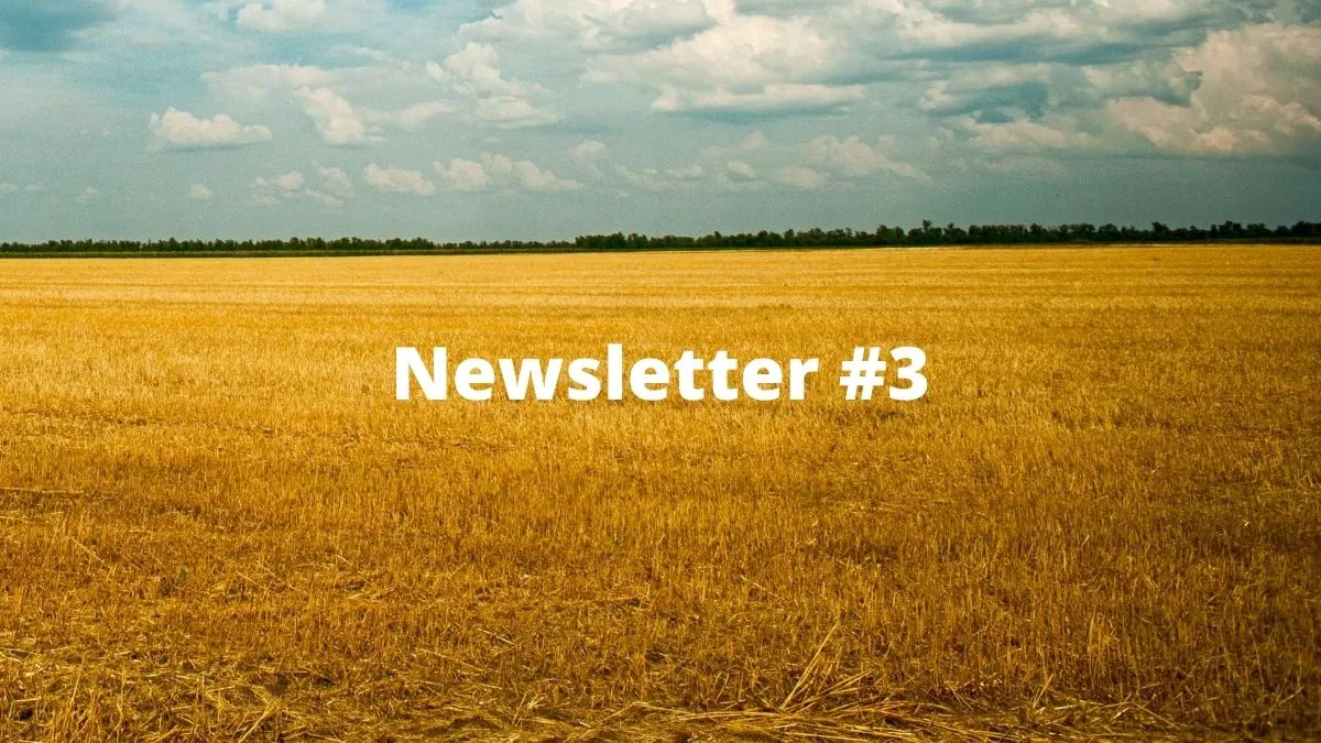 Newsletter #3: