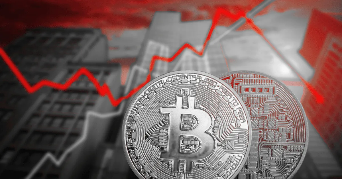 Looking for crypto trends? Take a step back and look at the bigger picture.