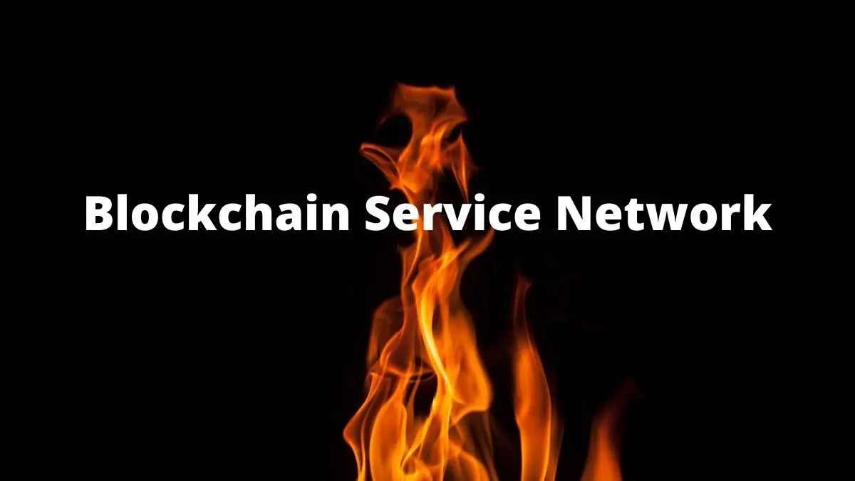 Blockchain Service Network