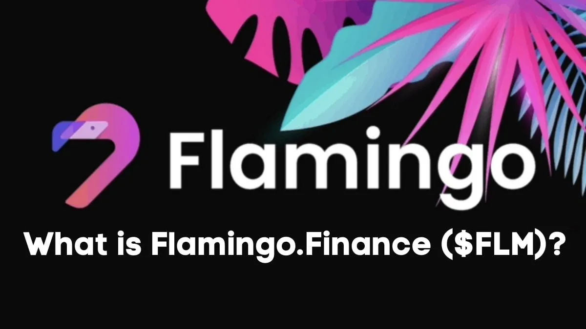 Flamingo Finance ($FLM): What is it?
