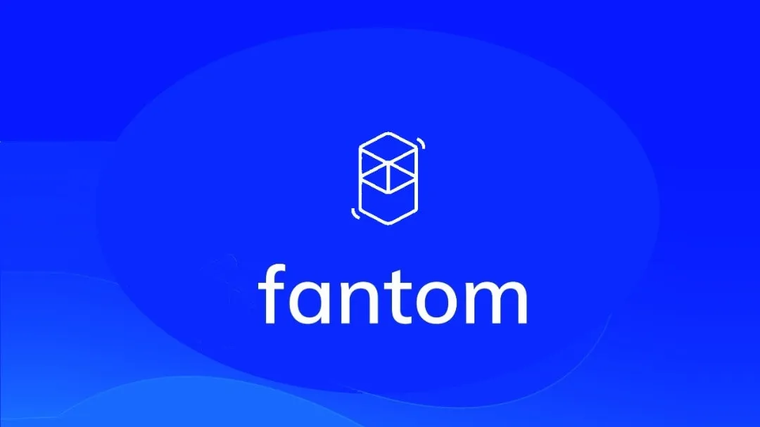 Fantom: A Fast and Flexible Next-Generation Blockchain
