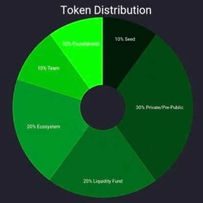 XED token distribution
