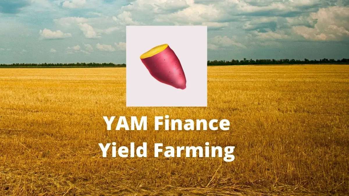 YAM yield farming