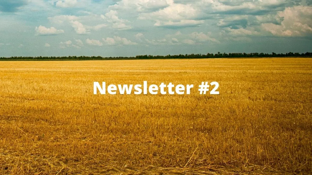 Newsletter #2: Yield Farming is HOT – but Farmers Beware of scams