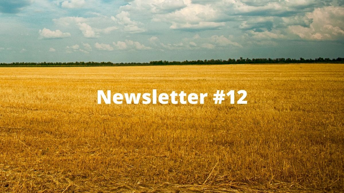 Boxmining newsletter #12