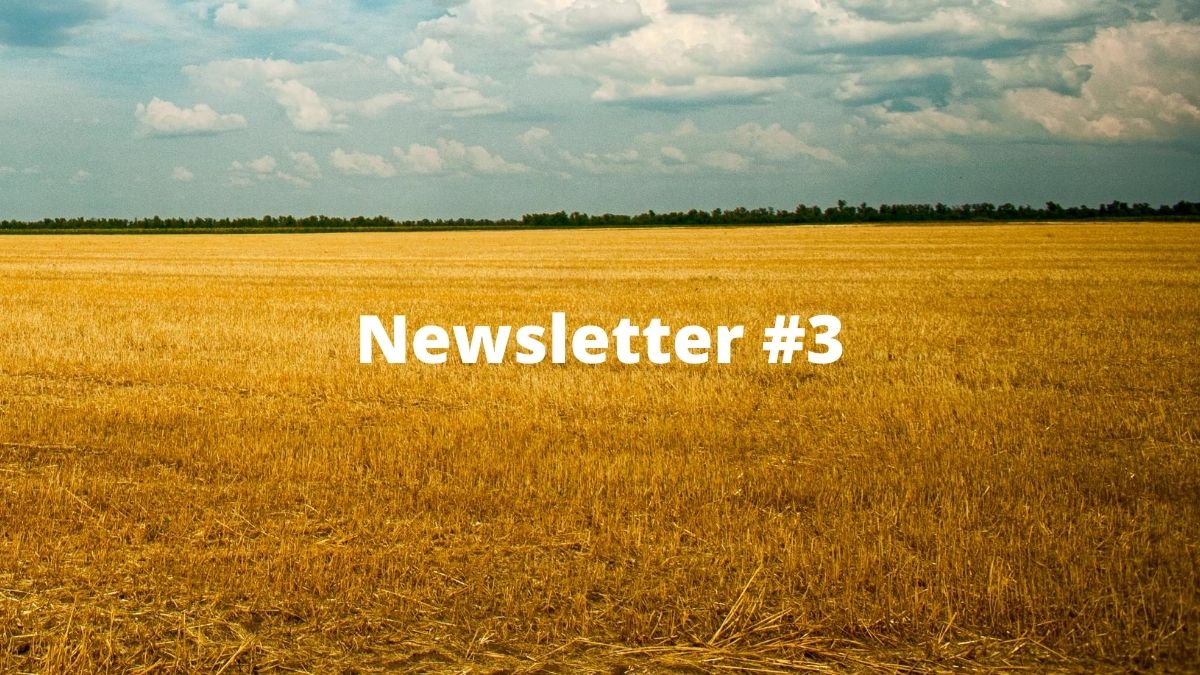 Newsletter #3: